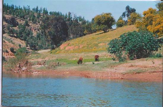 سحر الطبيعة بالمغرب  Mer-douce-nature-fes-maroc-